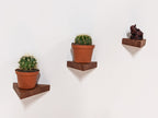 Small Triangle Display Shelf in Mahogany