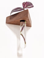 Triangle Propagation Station Shelf for Plant Cuttings