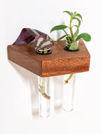 Trapezoid Propagation Station Shelf for Plant Cuttings
