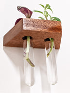 Trapezoid Propagation Station Shelf for Plant Cuttings