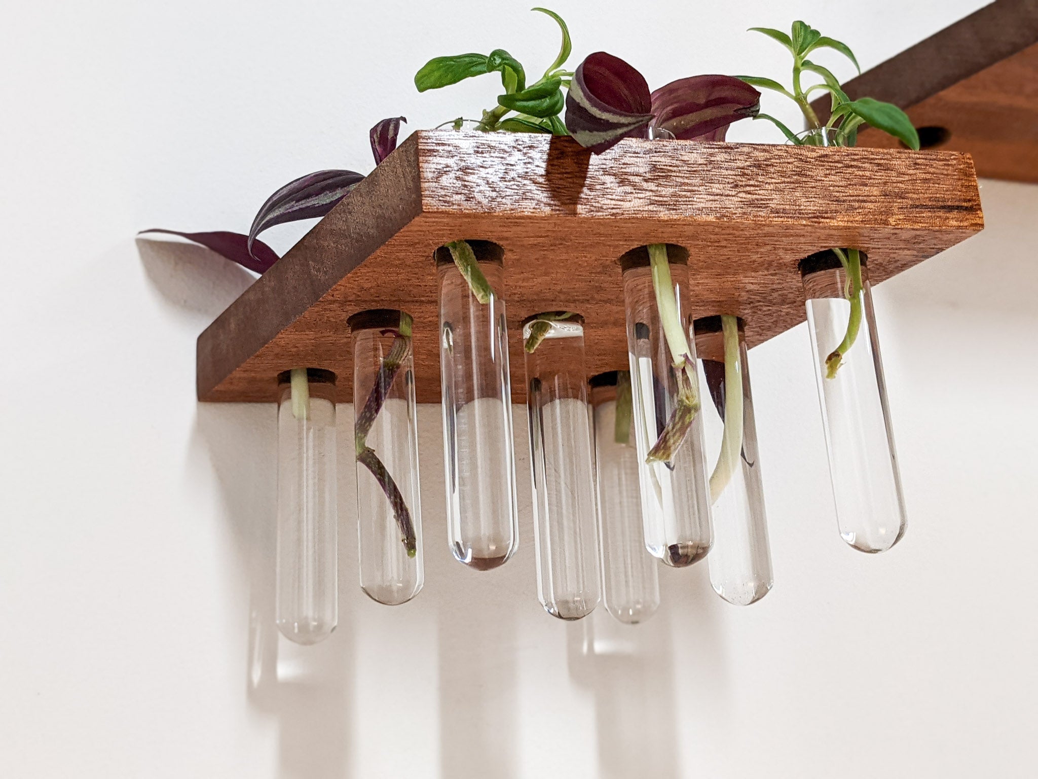 Rhombus Propagation Station Shelf for Plant Cuttings