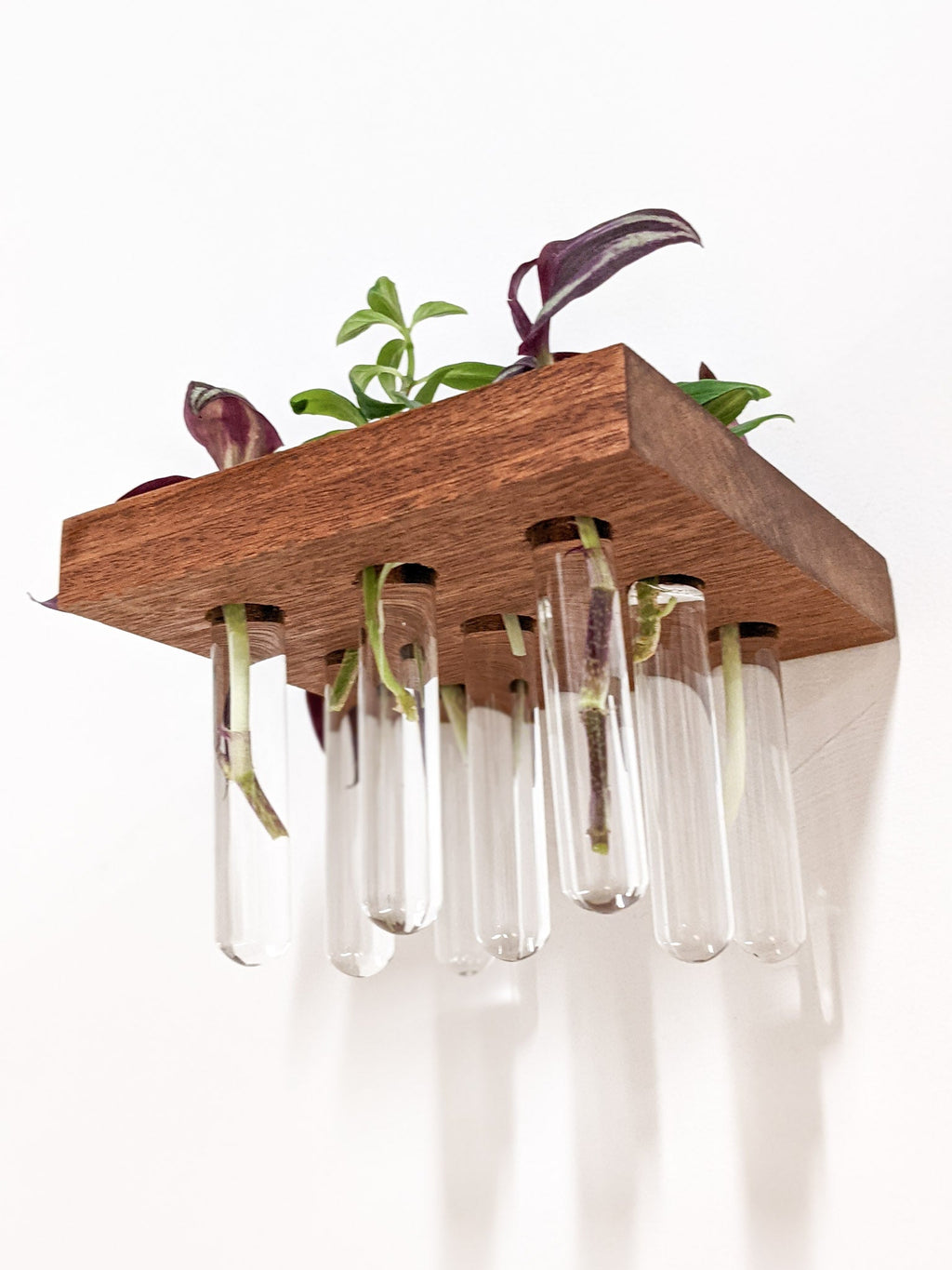 Propagation Shelf Set for Plant Cuttings