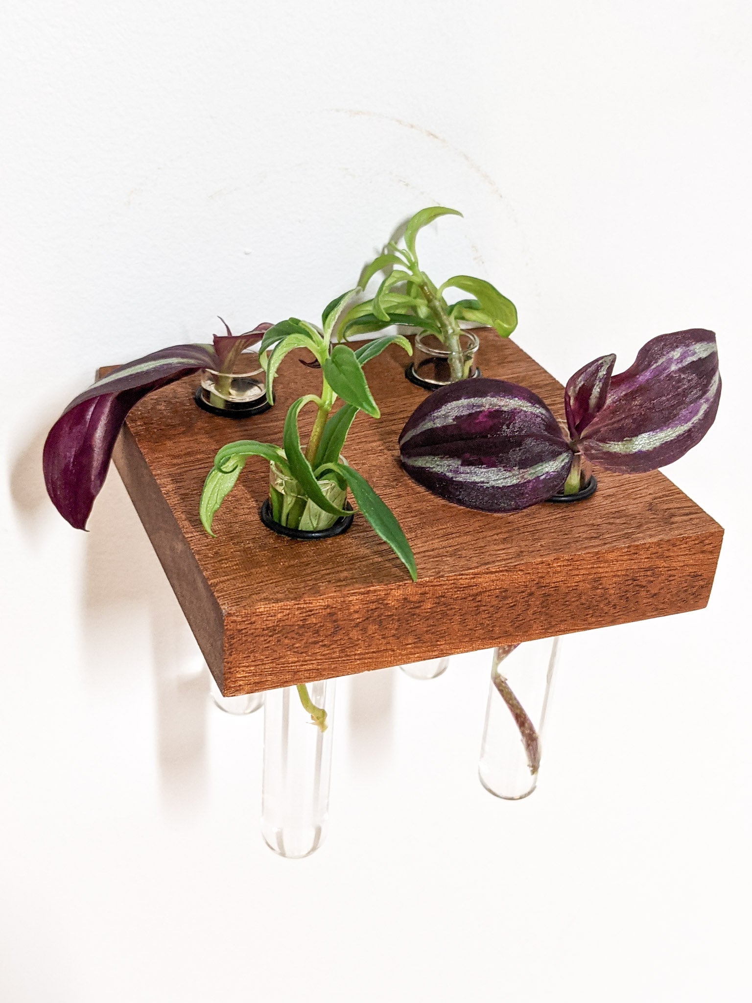 Square Propagation Station Shelf for Plant Cuttings