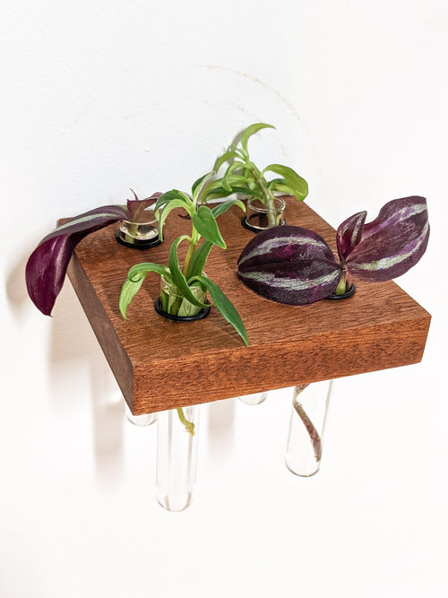 Square Propagation Station Shelf for Plant Cuttings