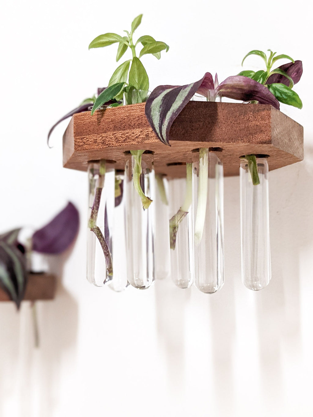 Propagation Shelf Set for Plant Cuttings