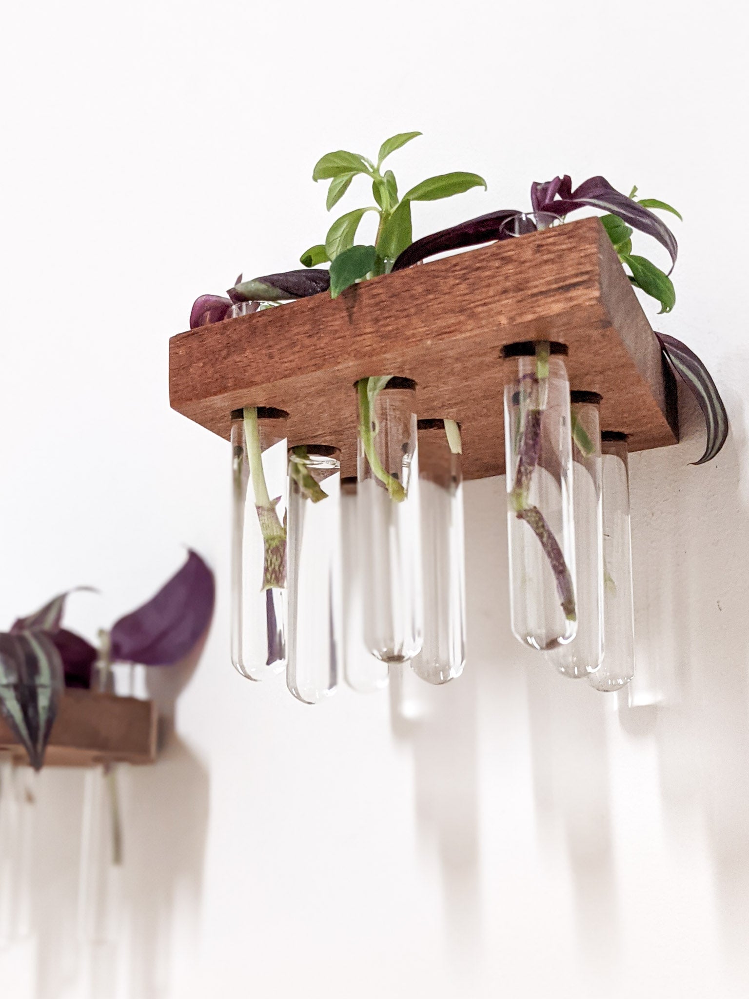 Rhombus Propagation Station Shelf for Plant Cuttings