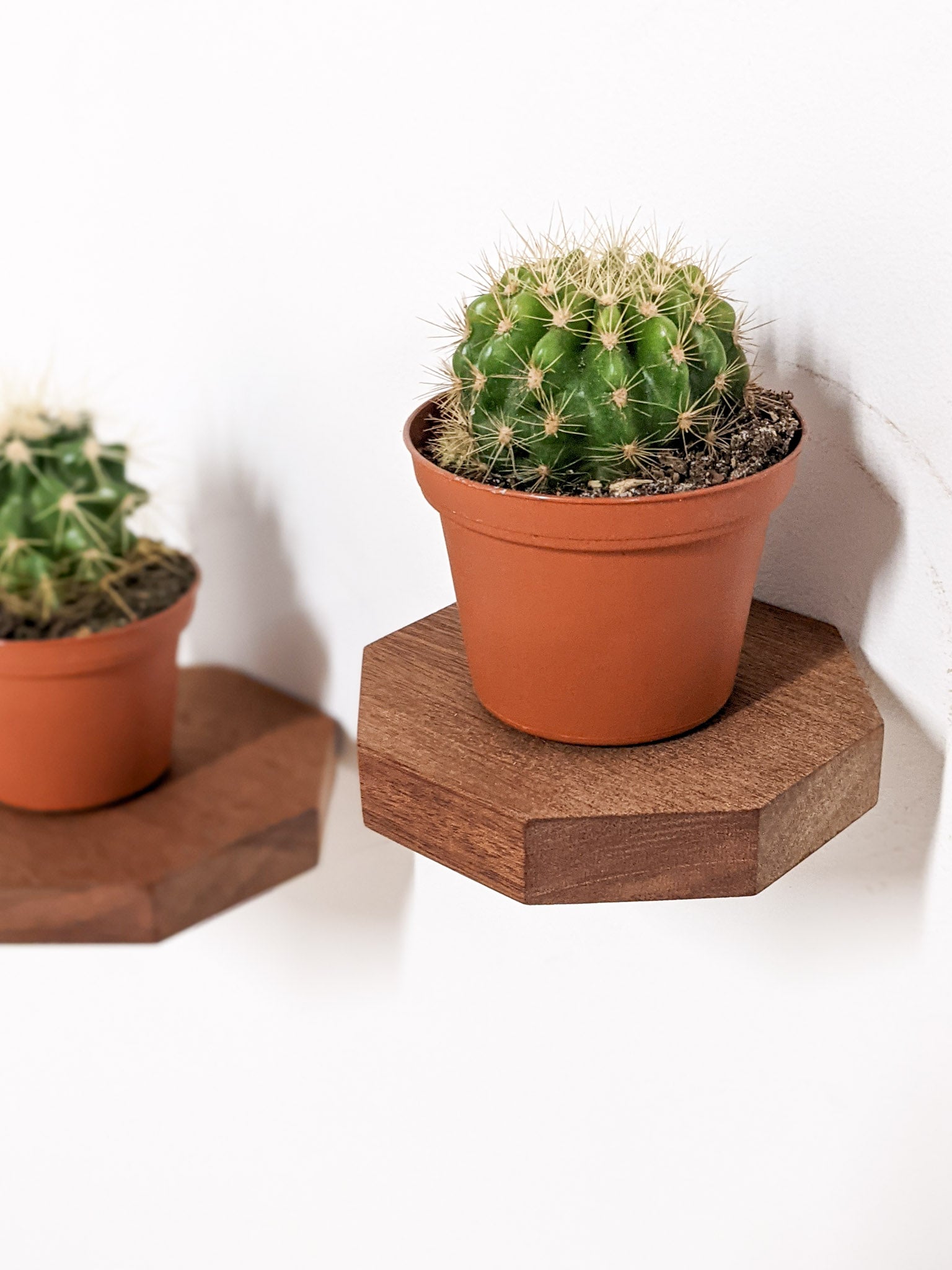 Small Octagon Display Shelf in Mahogany