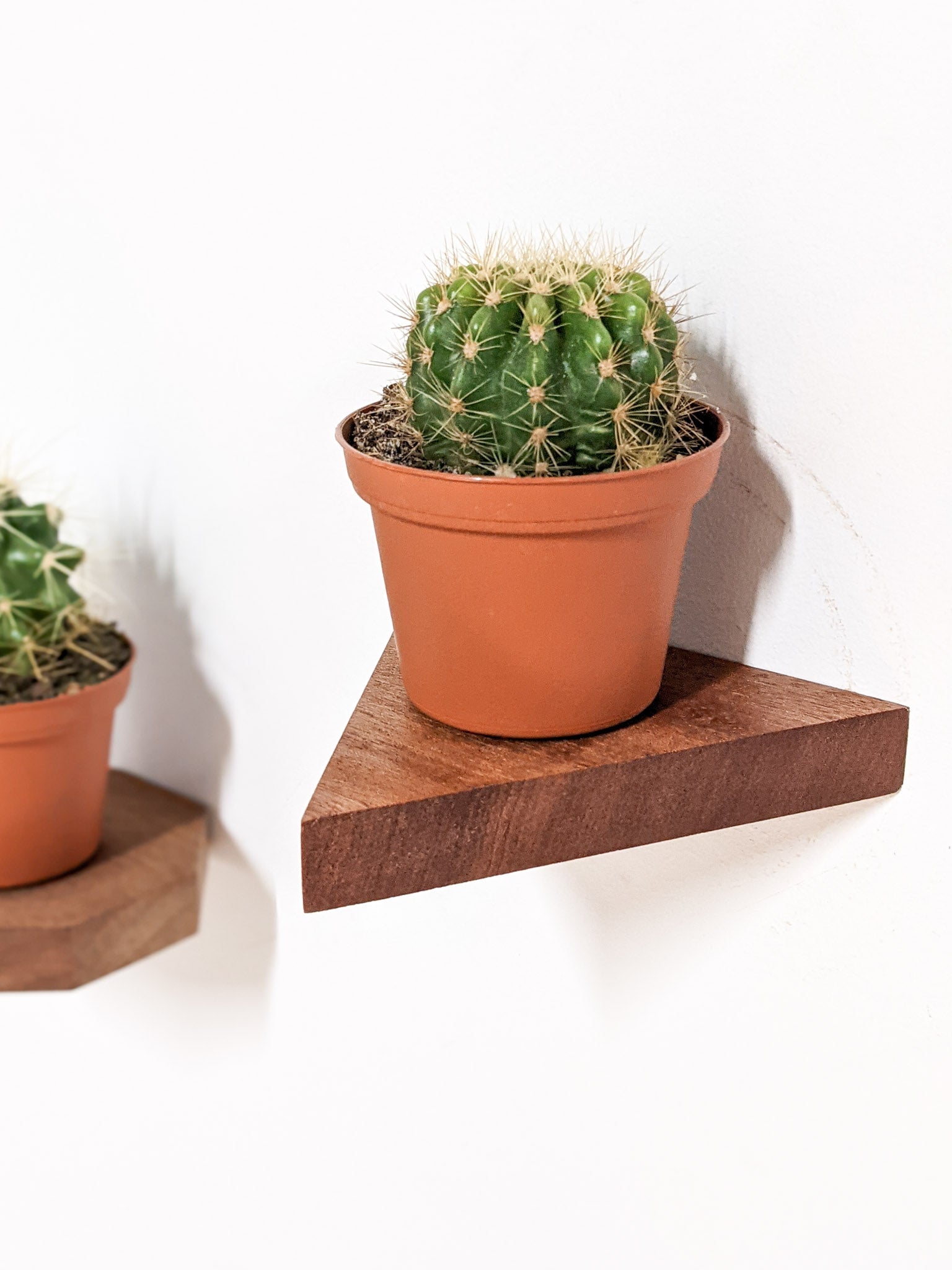 Small Triangle Display Shelf in Mahogany