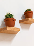 Small Trapezoid Display Shelf in Mahogany