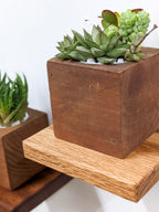 Small Square Display Shelf in Oak