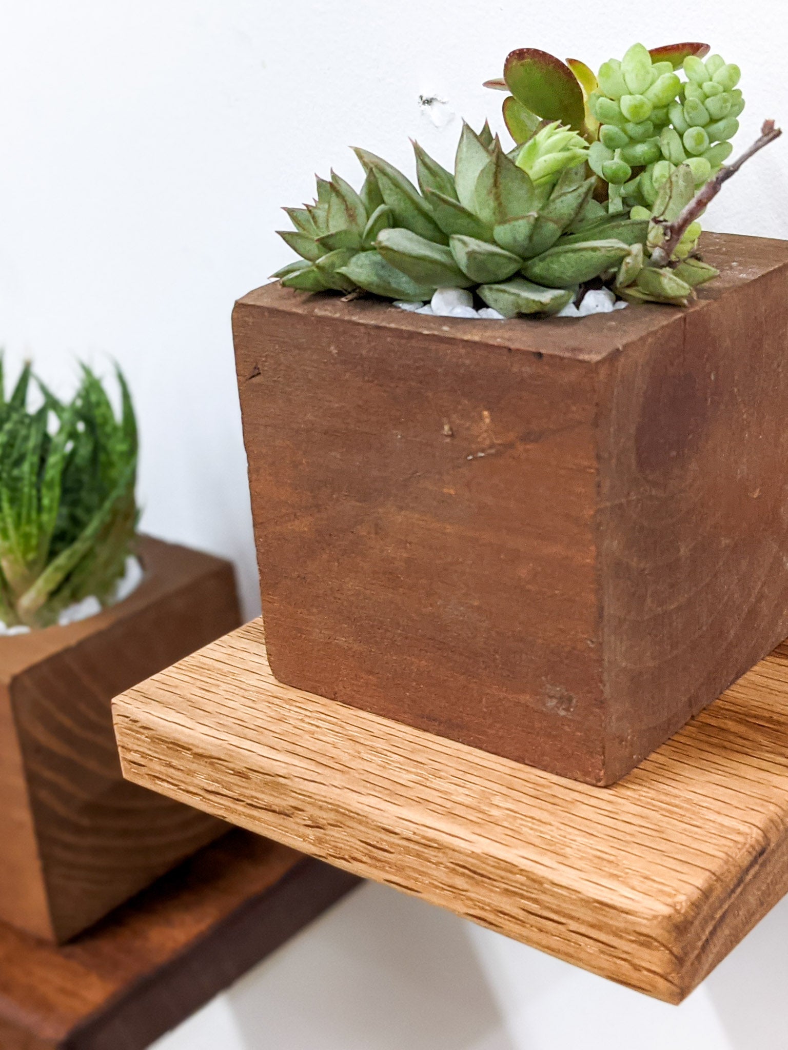 Small Square Display Shelf in Oak