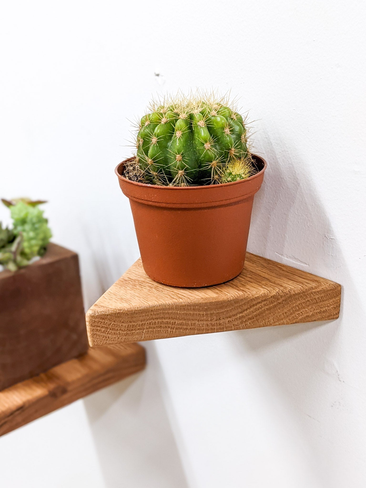 Small Floating Shelf Set