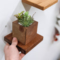 Small Square Display Shelf in Mahogany