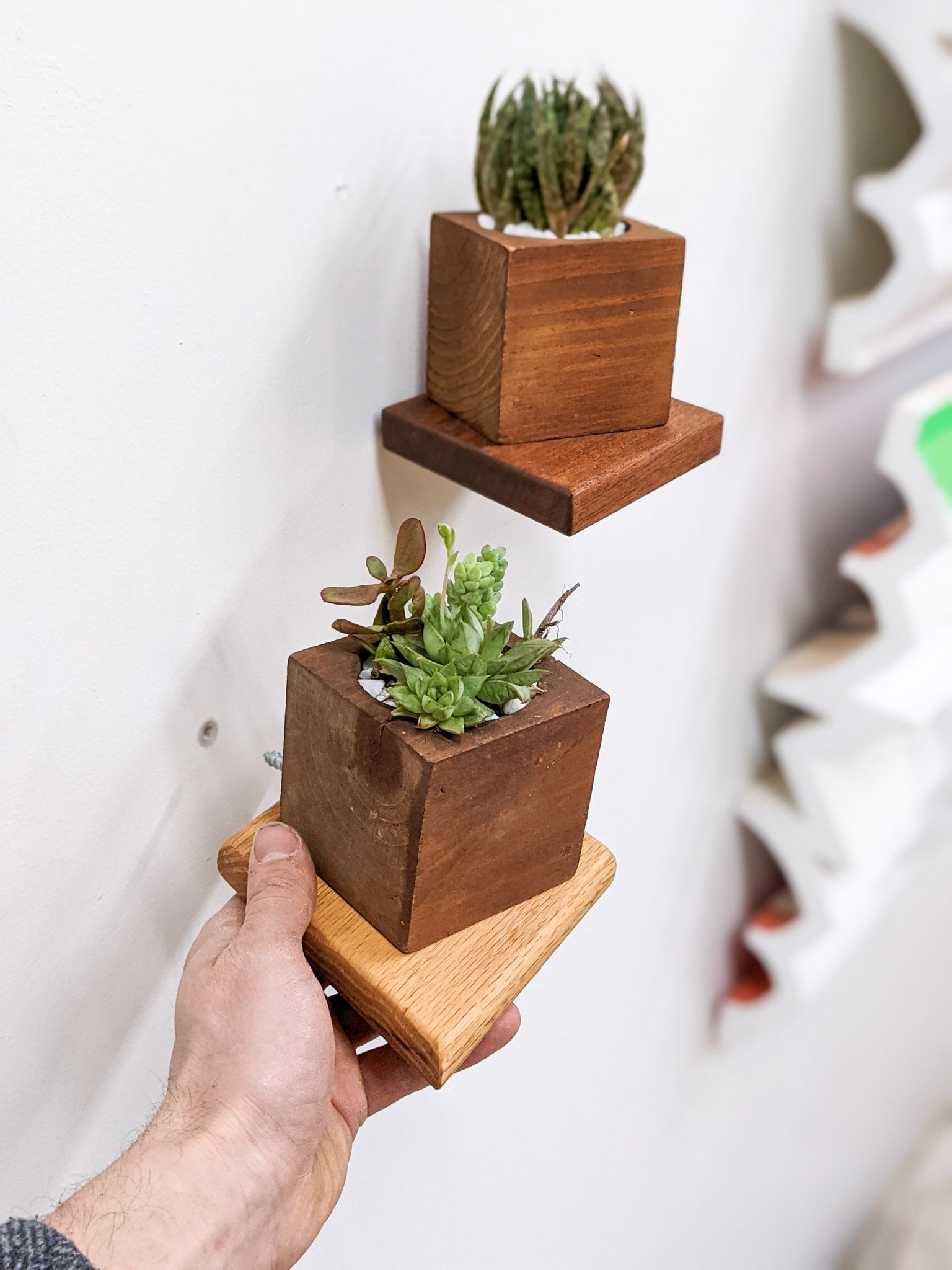 Small Rhombus Display Shelf in Mahogany