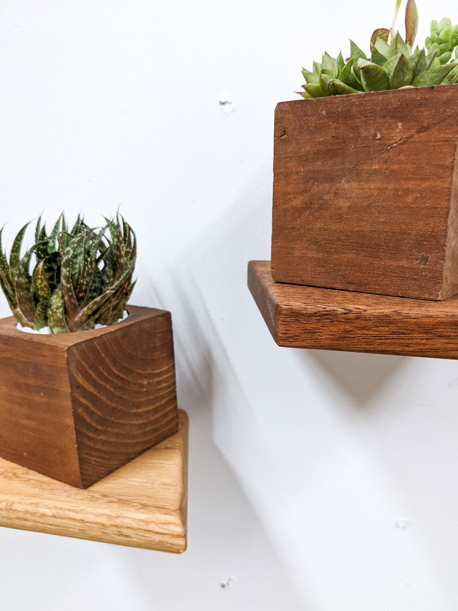 Small Rhombus Display Shelf in Oak