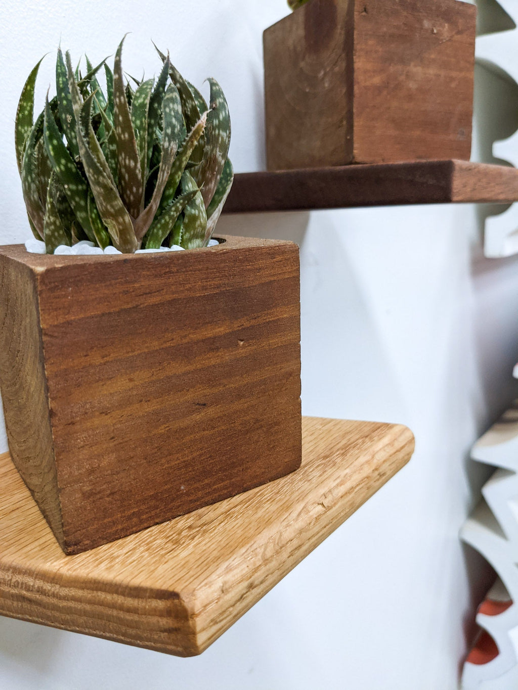 Small Rhombus Display Shelf in Mahogany