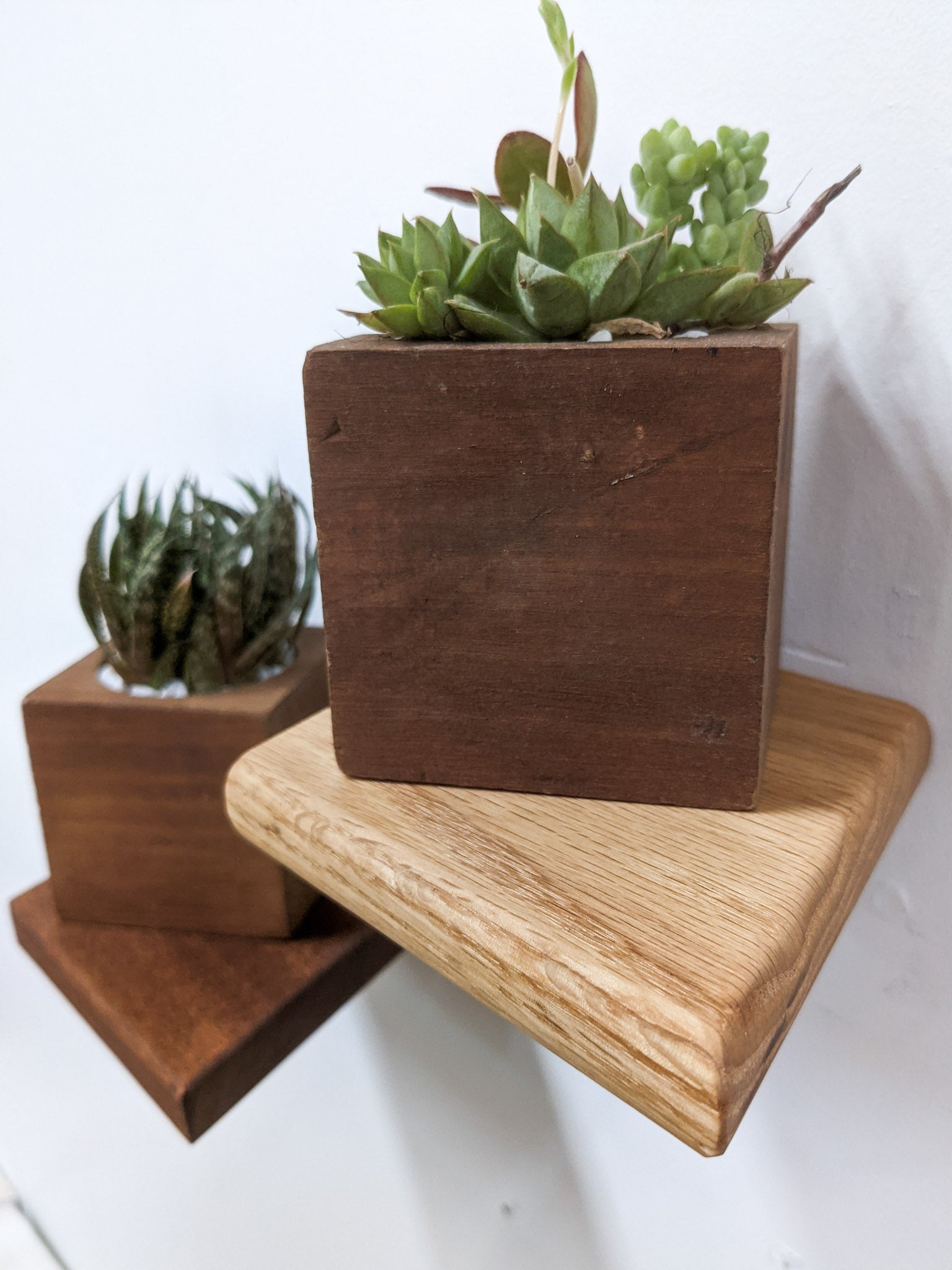 Small Rhombus Display Shelf in Oak